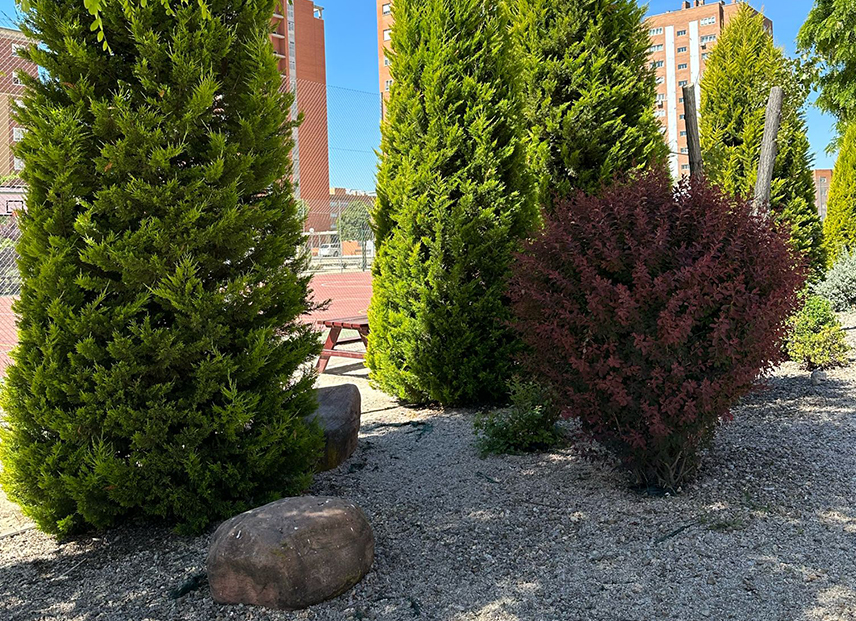Jardinería Jardinería